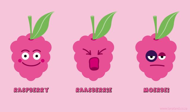 raspberry moerbei illustration